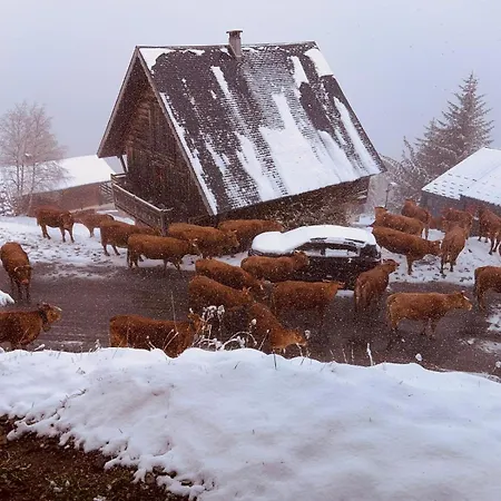 Dans St Lary 100mdespistes Classe 4 Etoiles *