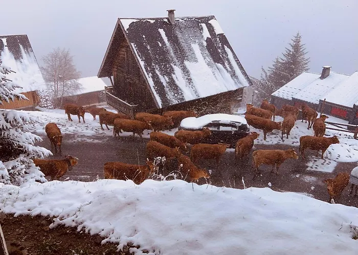 St Lary 4 Pers 100mdespistes Classé 4 étoiles *