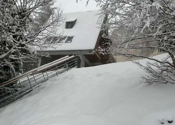 St Lary 4 Pers 100mdespistes Classé 4 étoiles Appartement