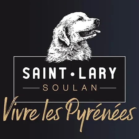 Rdc Dans 4 Etoiles 1700m 4pers 100mdespistes St Lary Saint-Lary-Soulan