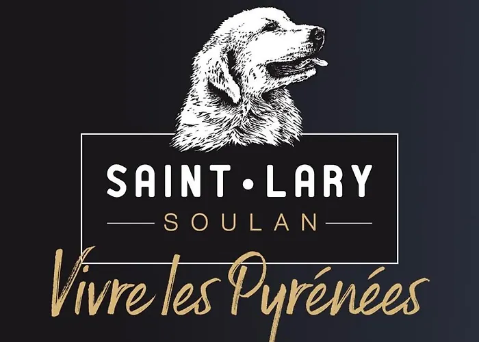 4 Pers Confort 100mdespistes St Lary 4 Etoiles サン・ラリー・スラン